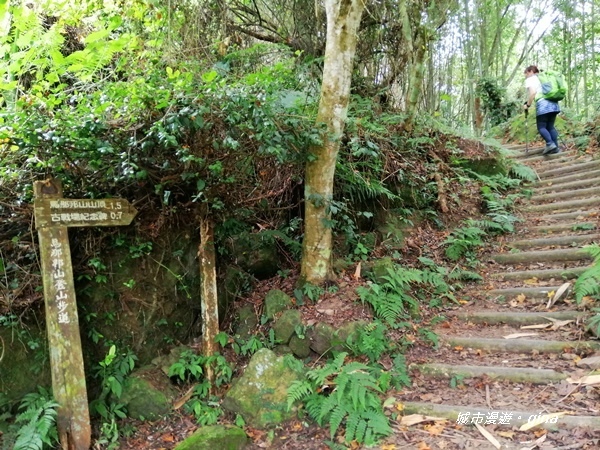 IMG_20201009_102341.jpg IMG_20201009_102341.jpg