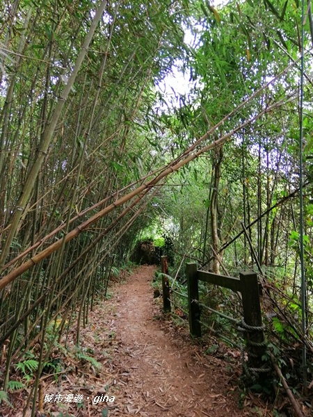 IMG_20201009_102540.jpg IMG_20201009_102540.jpg