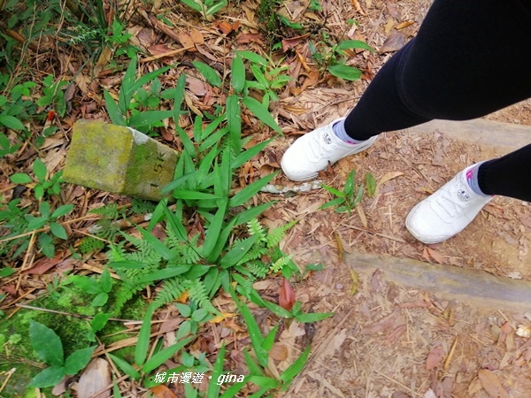 IMG_20201009_103223.jpg IMG_20201009_103223.jpg