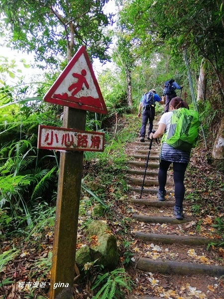 【苗栗大湖】台灣百大必訪步道。 No37小百岳馬那邦山