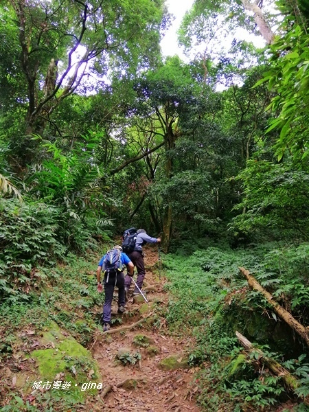 IMG_20201009_104049.jpg IMG_20201009_104049.jpg