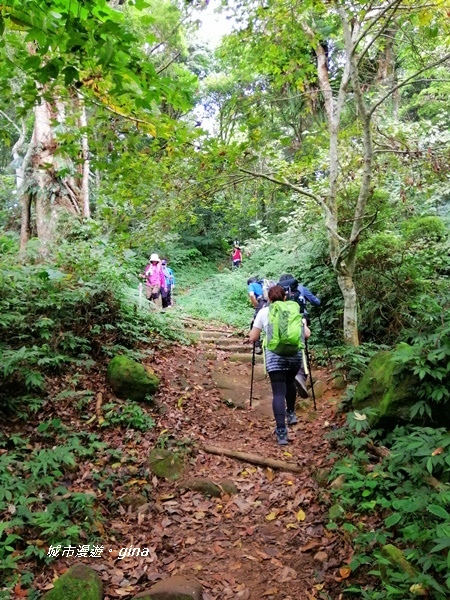 IMG_20201009_105222.jpg IMG_20201009_105222.jpg