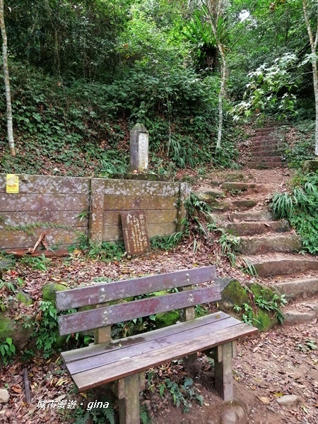 IMG_20201009_105629.jpg IMG_20201009_105629.jpg