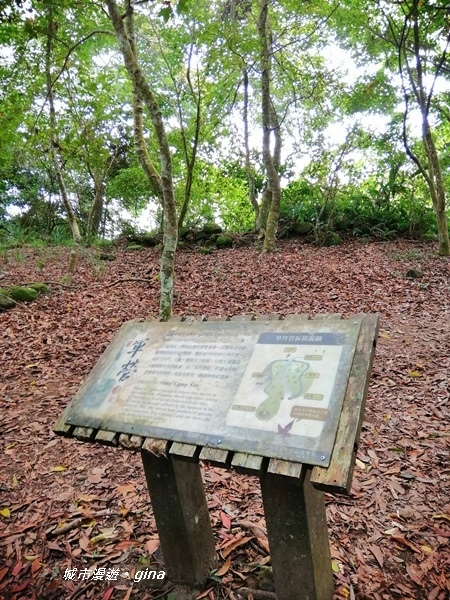 【苗栗大湖】台灣百大必訪步道。 No37小百岳馬那邦山