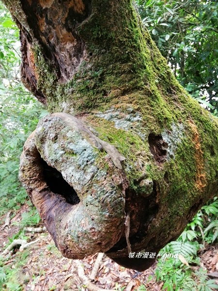 IMG_20201009_110335.jpg IMG_20201009_110335.jpg