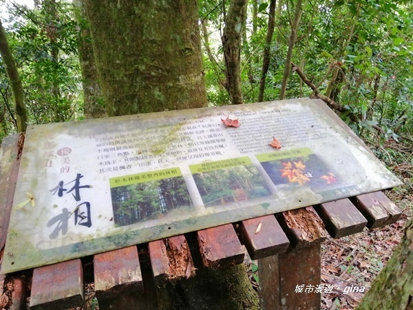 IMG_20201009_111734.jpg IMG_20201009_111734.jpg