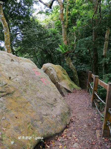 IMG_20201009_113123.jpg IMG_20201009_113123.jpg