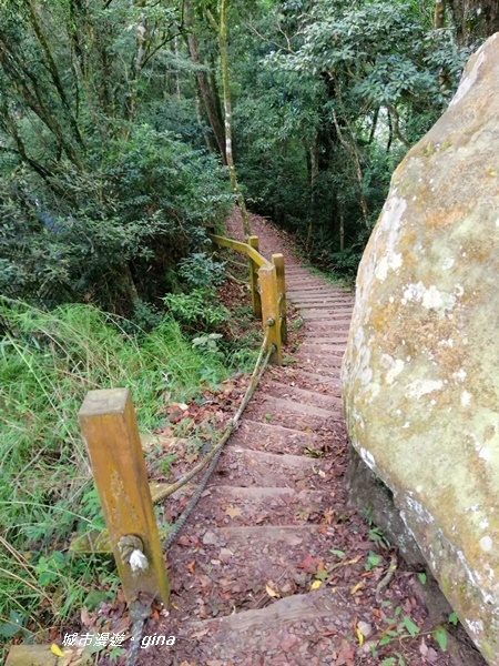 IMG_20201009_113301.jpg IMG_20201009_113301.jpg