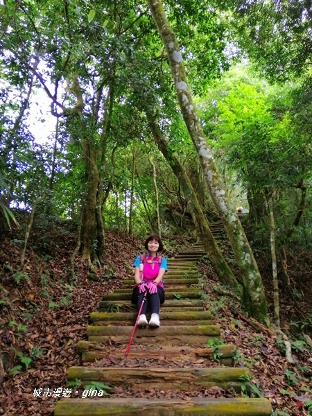 【苗栗大湖】台灣百大必訪步道。 No37小百岳馬那邦山