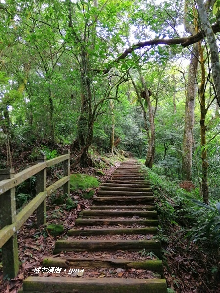 【苗栗大湖】台灣百大必訪步道。 No37小百岳馬那邦山