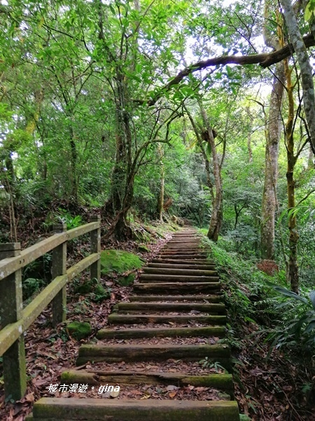 IMG_20201009_114049.jpg IMG_20201009_114049.jpg