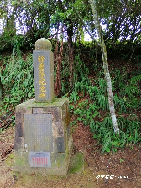 【苗栗大湖】台灣百大必訪步道。 No37小百岳馬那邦山