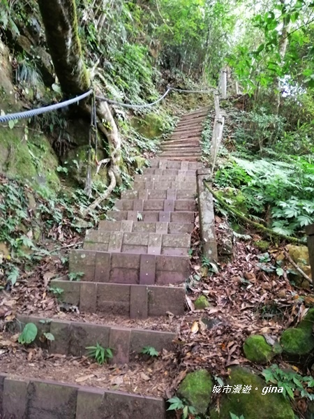 IMG_20201009_114732.jpg IMG_20201009_114732.jpg