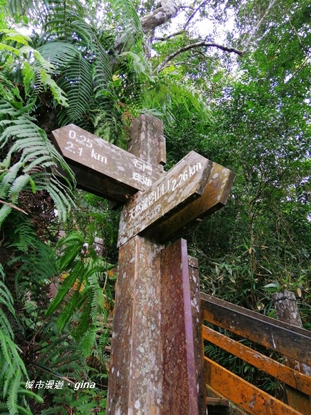 IMG_20201009_114929.jpg IMG_20201009_114929.jpg