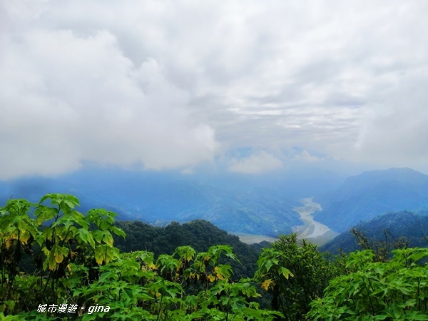 IMG_20201009_115932.jpg IMG_20201009_115932.jpg