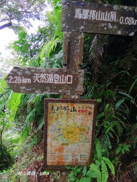 IMG_20201009_124406.jpg IMG_20201009_124406.jpg