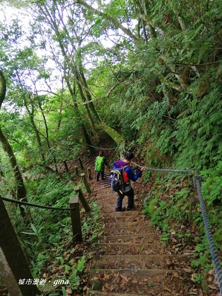 IMG_20201009_124508.jpg IMG_20201009_124508.jpg