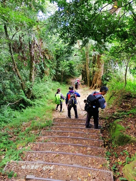 IMG_20201009_131234.jpg IMG_20201009_131234.jpg