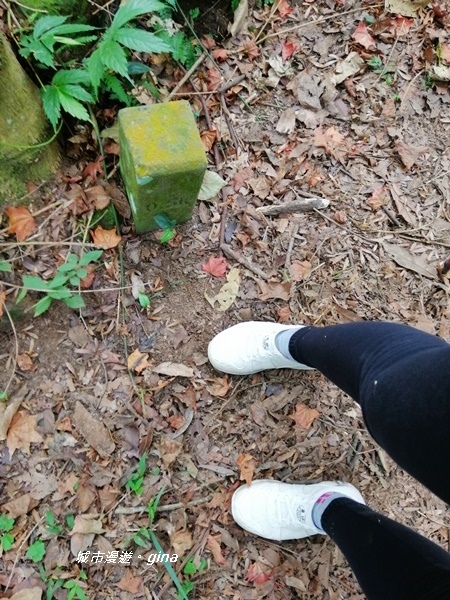 IMG_20201009_130815.jpg IMG_20201009_130815.jpg