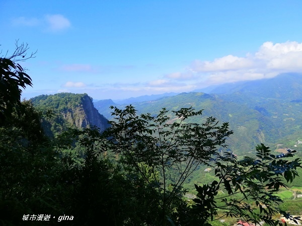 IMG_20201009_133003.jpg IMG_20201009_133003.jpg