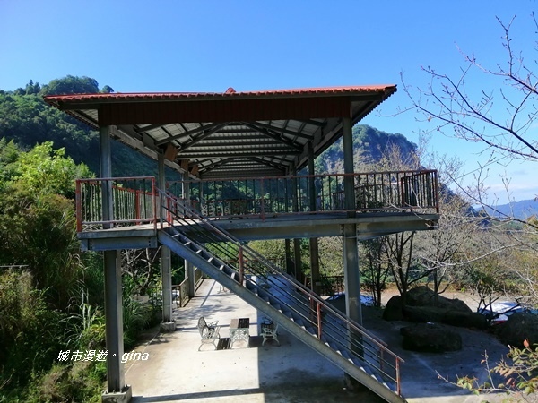 IMG_20201009_135357.jpg IMG_20201009_135357.jpg