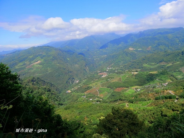 IMG_20201009_133953.jpg IMG_20201009_133953.jpg