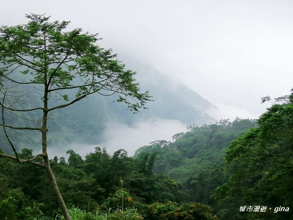 【雲林古坑】山間小旅行。草嶺風景區~同心吊橋x同心瀑布x連珠