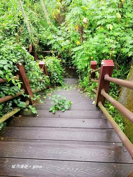 【雲林古坑】山間小旅行。草嶺風景區~同心吊橋x同心瀑布x連珠