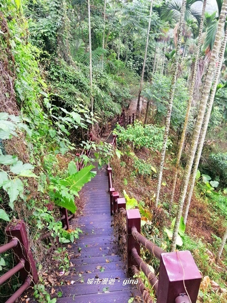 【雲林古坑】山間小旅行。草嶺風景區~同心吊橋x同心瀑布x連珠