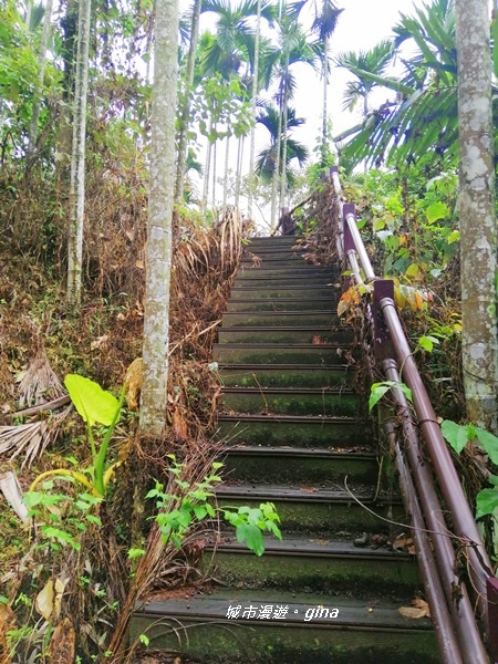 【雲林古坑】山間小旅行。草嶺風景區~同心吊橋x同心瀑布x連珠