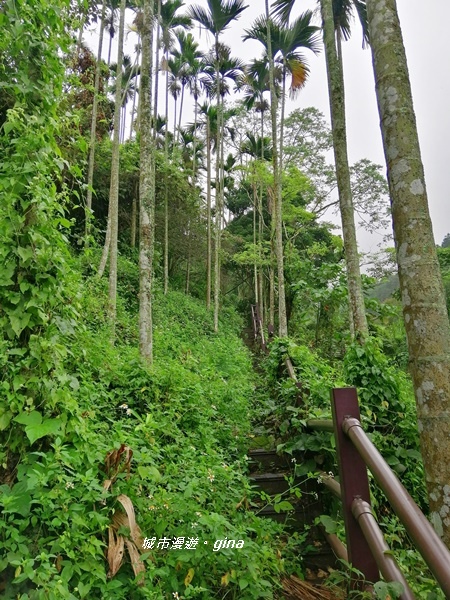 【雲林古坑】山間小旅行。草嶺風景區~同心吊橋x同心瀑布x連珠