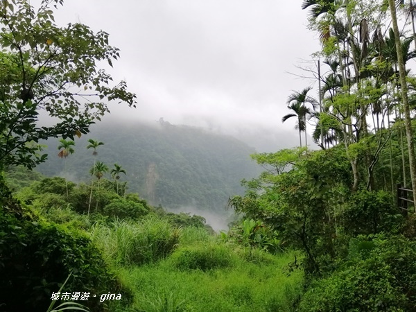 【雲林古坑】山間小旅行。草嶺風景區~同心吊橋x同心瀑布x連珠