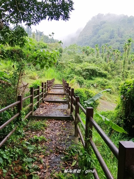 【雲林古坑】山間小旅行。草嶺風景區~同心吊橋x同心瀑布x連珠