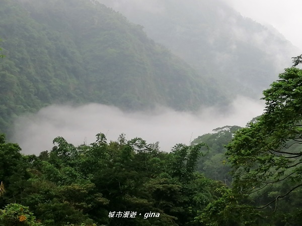 【雲林古坑】山間小旅行。草嶺風景區~同心吊橋x同心瀑布x連珠