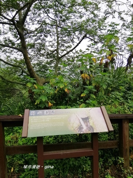 【雲林古坑】山間小旅行。草嶺風景區~同心吊橋x同心瀑布x連珠