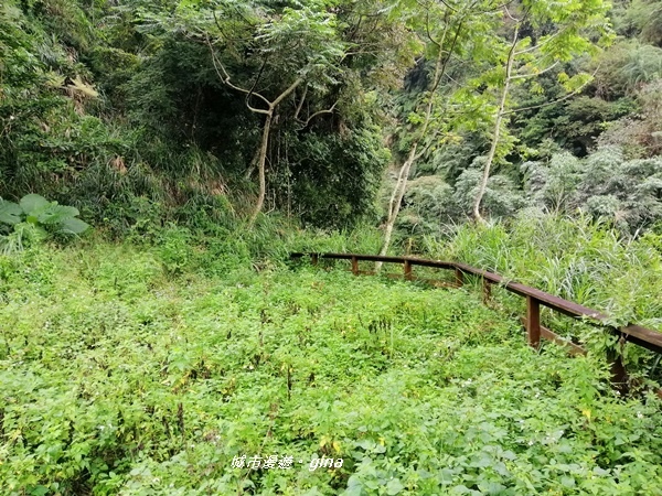 【雲林古坑】山間小旅行。草嶺風景區~同心吊橋x同心瀑布x連珠