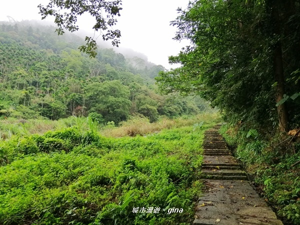 【雲林古坑】山間小旅行。草嶺風景區~同心吊橋x同心瀑布x連珠