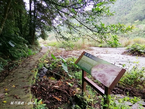 【雲林古坑】山間小旅行。草嶺風景區~同心吊橋x同心瀑布x連珠