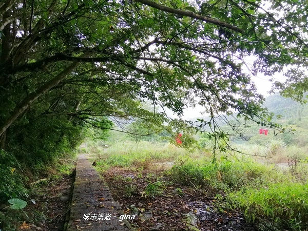 【雲林古坑】山間小旅行。草嶺風景區~同心吊橋x同心瀑布x連珠