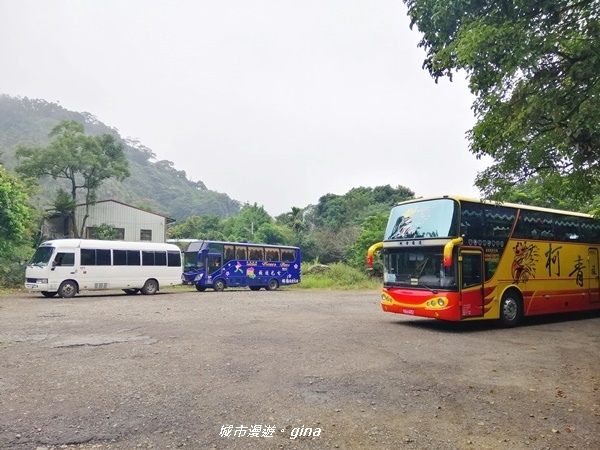 【雲林古坑】山間小旅行。草嶺風景區~同心吊橋x同心瀑布x連珠