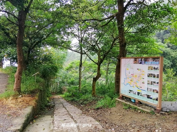 【雲林古坑】山間小旅行。草嶺風景區~同心吊橋x同心瀑布x連珠