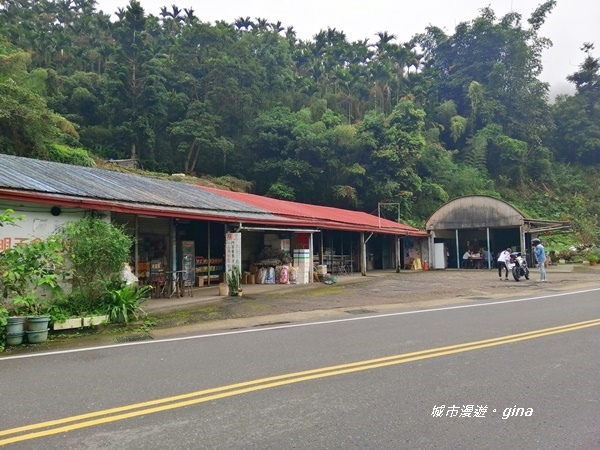 【雲林古坑】山間小旅行。草嶺風景區~同心吊橋x同心瀑布x連珠