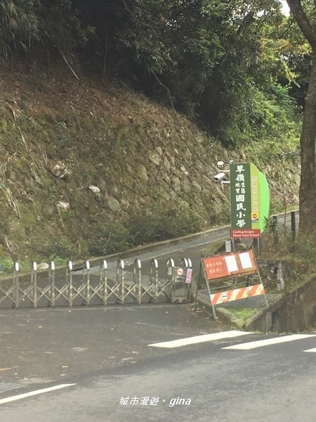 【雲林古坑】山間小旅行。草嶺風景區~同心吊橋x同心瀑布x連珠