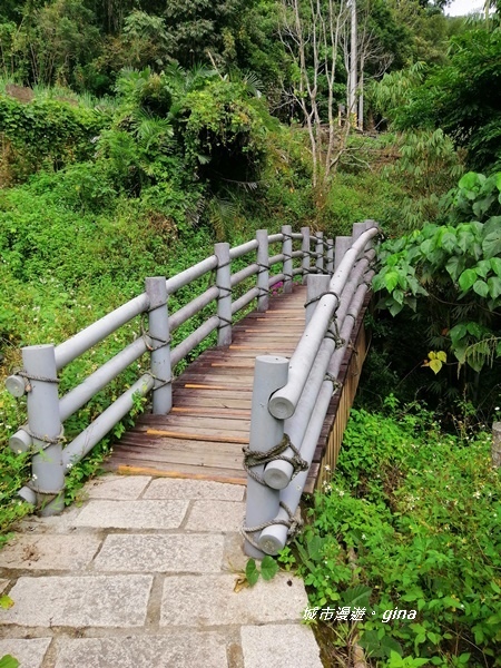 【雲林古坑】山間小旅行。草嶺風景區~蓬萊瀑布步道