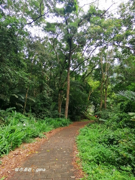 【雲林古坑】山間小旅行。草嶺風景區~蓬萊瀑布步道