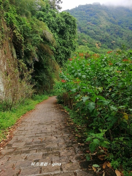 【雲林古坑】山間小旅行。草嶺風景區~蓬萊瀑布步道