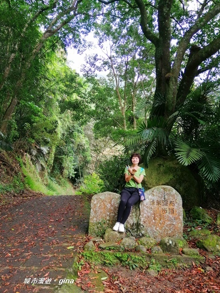 【雲林古坑】山間小旅行。草嶺風景區~蓬萊瀑布步道