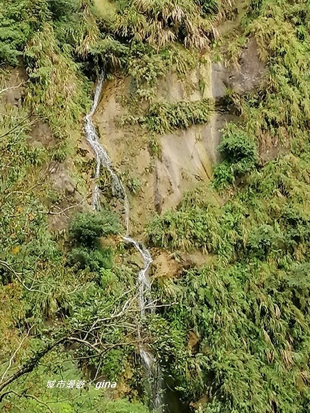 【雲林古坑】山間小旅行。草嶺風景區~蓬萊瀑布步道