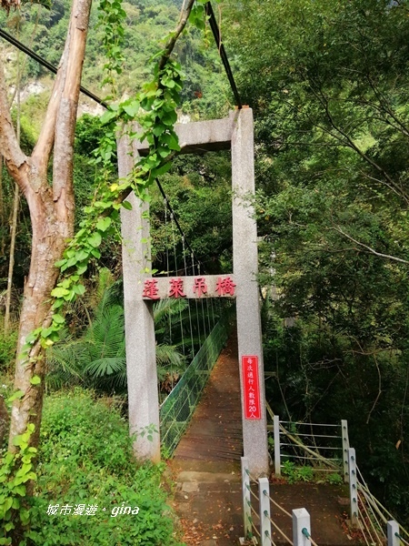 【雲林古坑】山間小旅行。草嶺風景區~蓬萊瀑布步道