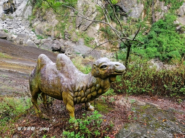 【雲林古坑】山間小旅行。草嶺風景區~蓬萊瀑布步道